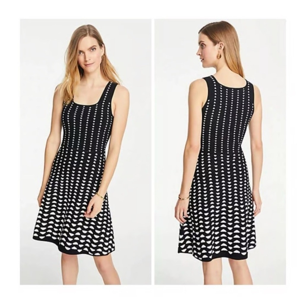 Ann Taylor Black White Half‎ Moon Jacquard Fit Flare Sweater Dress Size S